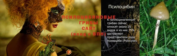 сатива Протвино