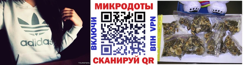 Псилоцибиновые грибы мухоморы  Купить закладки  Железноводск 