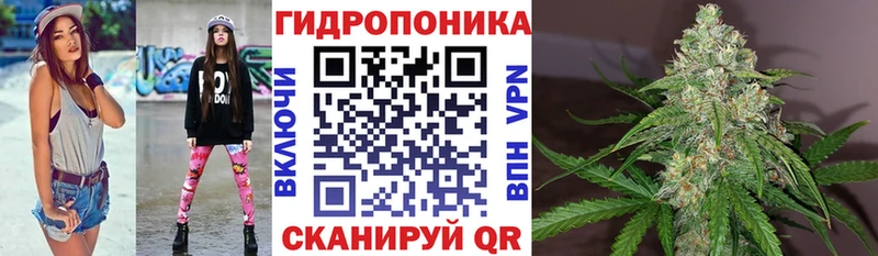 Конопля индика  Купить где  Железноводск 